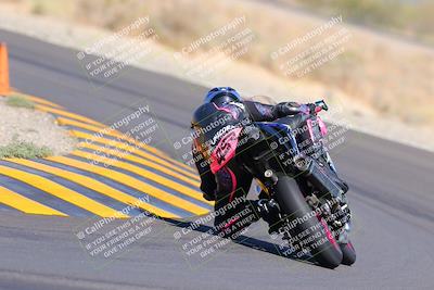 media/Oct-09-2022-SoCal Trackdays (Sun) [[95640aeeb6]]/Turn 14 Backside (1125am)/